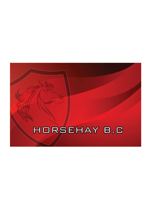 Horsehay B.C Towel