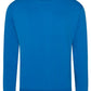 Pro sweatshirt